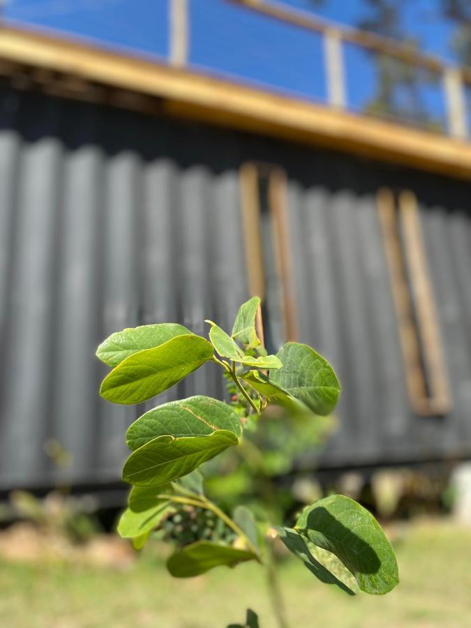 Hospedaria Boca Do Mato - Container Mambaí Eksteriør bilde